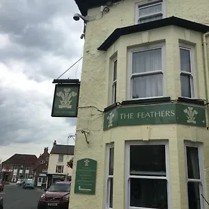 The Feathers Hotel
